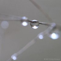 /album/galerie-photos/frida-dumont-img-4807-jpg/